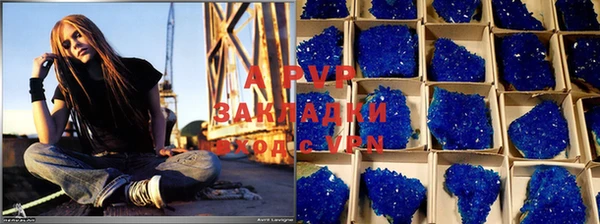 ПСИЛОЦИБИНОВЫЕ ГРИБЫ Магас